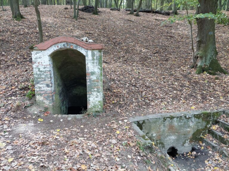 20251011_110351-átal